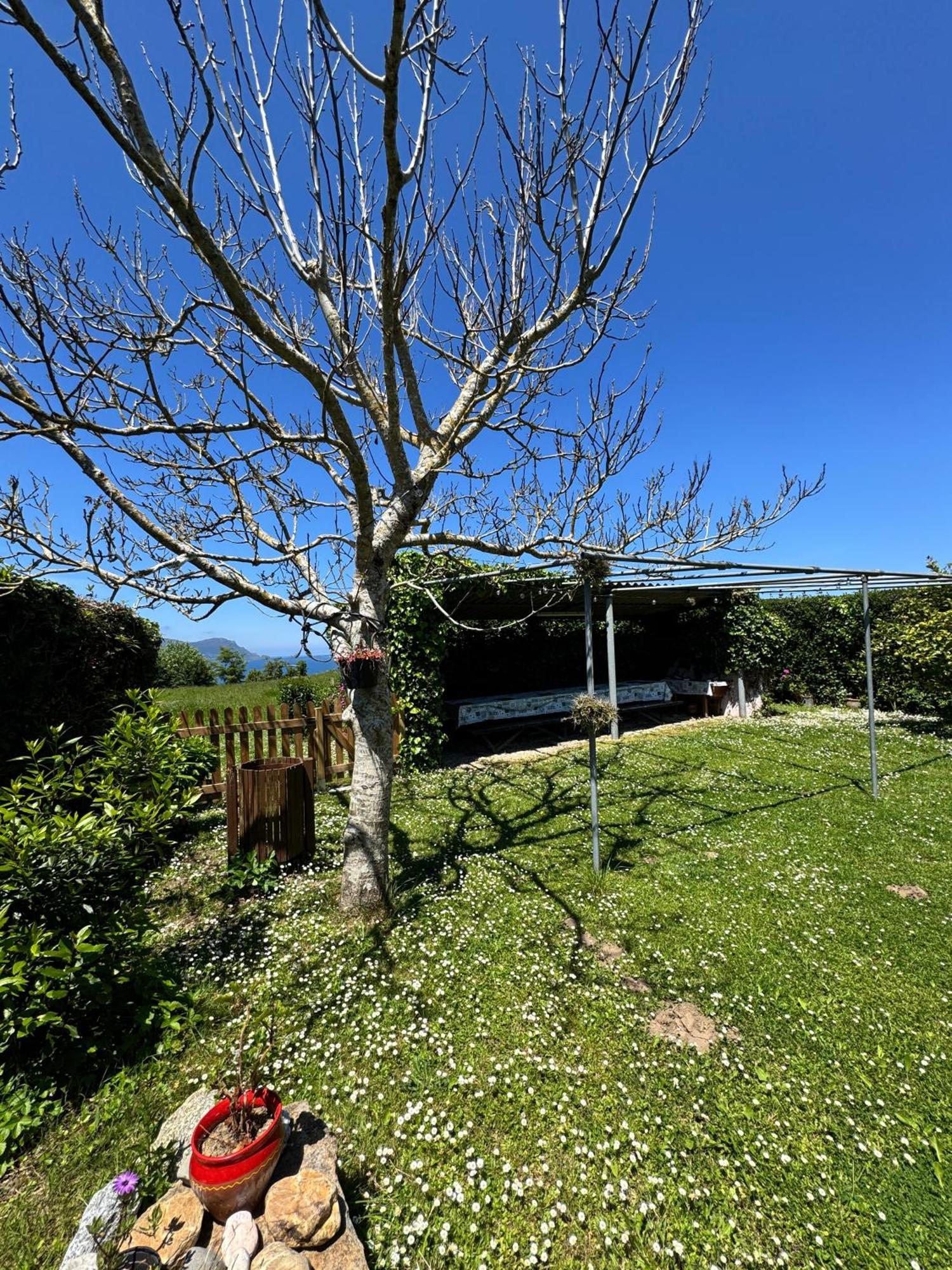 Villa O Cabaleiro Santa Marta de Ortigueira Exterior foto